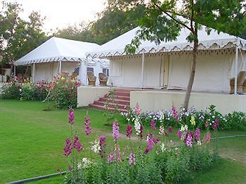 Jungle View Resort Савай Мадхопур Екстериор снимка