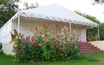 Jungle View Resort Савай Мадхопур Екстериор снимка