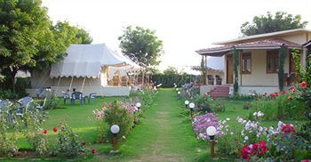Jungle View Resort Савай Мадхопур Екстериор снимка